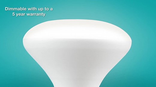 EcoSmart 75-Watt Equivalent BR40 Dimmable Energy Star LED Flood Light Bulb Daylight (2-Pack) BR40-1D 12W E26 120V 5000K