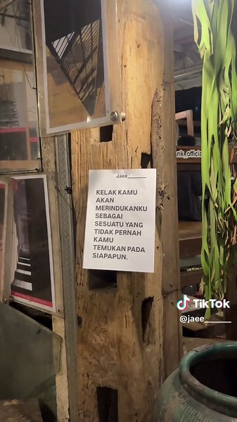 Insect Types and Their Impact: Understanding Encounters