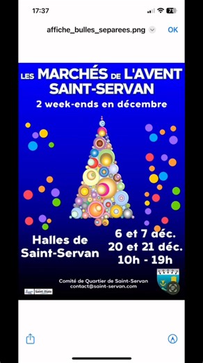 Bientôt le 1er marché de l’Avent à Saint-Servan (we du 6/7 décembre) 🤗🥰 #marchedenoel #saintmalo #artisanat #vinchaud | Comité Quartier Saint-Servan