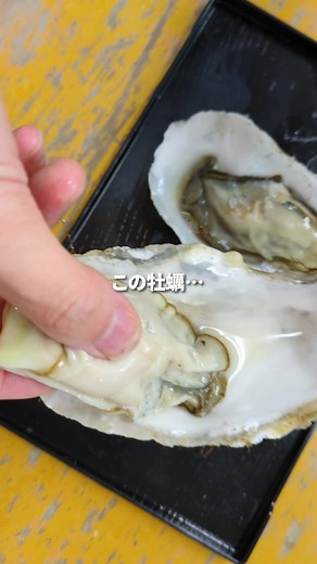 北海道釧路町の直売所「仙鳳趾かき直売 菊地漁業部」に行ってきました🚗💨 まずは、その場で剥いていただいて生でぱくりっ！家用も買って焼いてぱくりっ🦪✨ 美味しすぎます🤤✨✨ #北海道旅行 #北海道観光 #釧路グルメ #牡蠣 #仙鳳趾