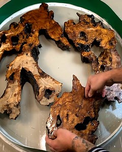 444K views · 1K reactions | Coffe Table in Black Epoxy Resin with a DIY Olive Root | DIY & Crafts | Facebook