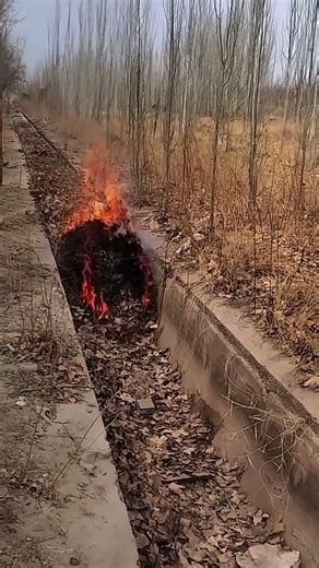 Amazing Drain Cleaning Using a Super Creative Technique 🚿⚙️ #shorts