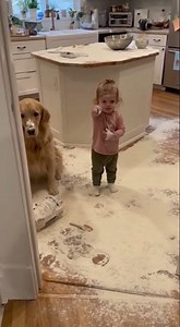 Guilty Dog vs Innocent Toddler: Who Made the FLOUR MESS?! 😂🐾