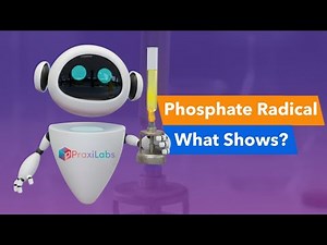 Test for Phosphate Radical Simulation - Walkthrough Video
