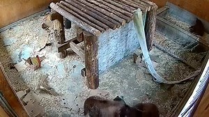 1.3K views · 133 reactions | Happy 1st full day of Spring 2023! The...