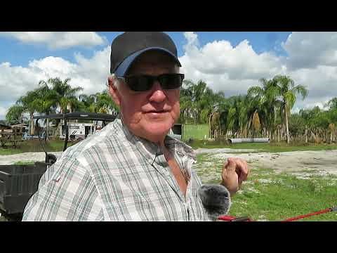 Electric Fence Light