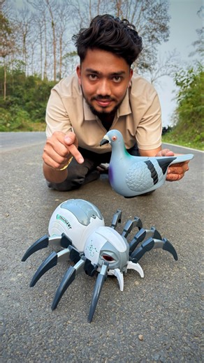 Remote Control Pigeon Vs Rc Spider Deko 😳