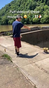 #feeding #fyp_ #GossipGirlHere #monster #trend #alligator #viral #chicken #turtle | Elroy Torres