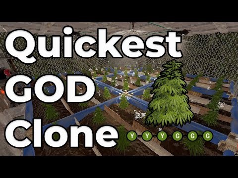 The Easiest and Quickest Way to Get a GOD Clone in Rust