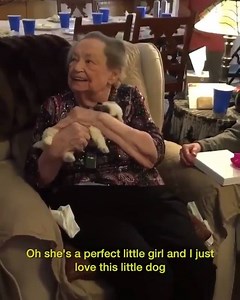The reaction this Grandma had when she was given her own puppy has melted my heart 😭😭 | Tyla