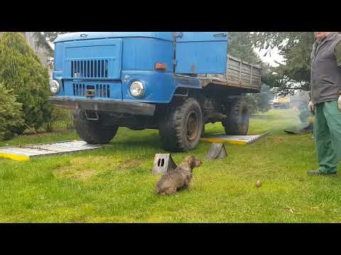 IFA L60 1218 Improvised Drivetrain Test | Approved by the Dachshund