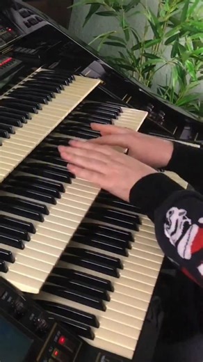 Florian Hutter on Instagram: "Winter Wonderland | Florian Hutter - Wersi Atlantis #wersi #organ #keyboard #piano #orgel #hammondorgan #synth #swing #weihnachten #christmas"