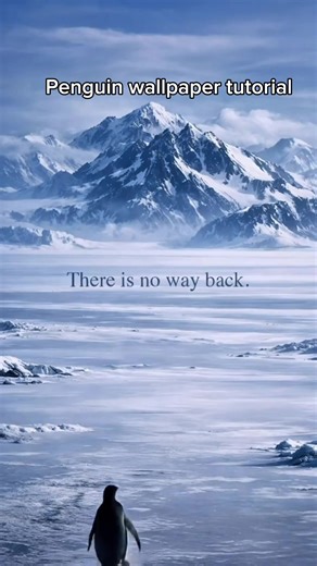 Create Stunning Penguin Live Wallpaper for iPhone