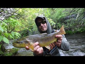 Euro Nymphing-Small Stream Tactics