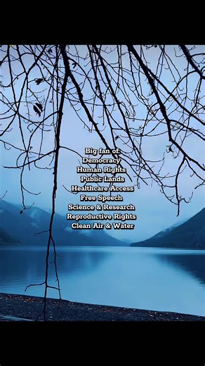 Defendiendo los Derechos Humanos y la Democracia