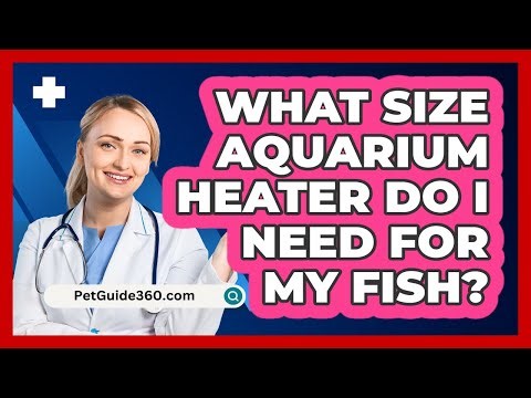What Size Aquarium Heater Do I Need For My Fish? - PetGuide360.com