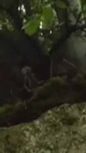 I love them #ChimeHasYourBack #CandyCrushAllStars #pixiessight #fairysighting #pixies #fariesarereal #fypシ #fairestinalltheland