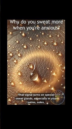 Why do you sweat more when you're anxious? Your body thinks you're in danger. #humanbody #facts