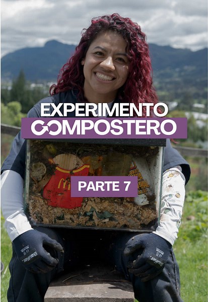 Compost orgánico casero: nuevo experimento, cómo empezar