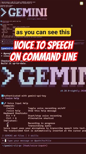 Voice in Command Line