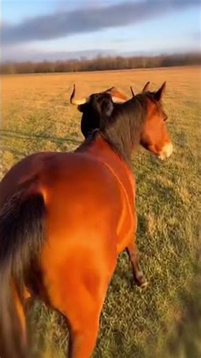 They’ve Loved Each Other Since Babyhood 💓