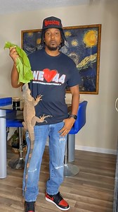 16K views · 396 reactions | Feeding my iguana the biggest green I done seen! 塞練 #lizard #exoticpets #reptile #iguana #pet #pets #animals #petlovers #petstagram #petlovers #foryou #petsofinstagram #RocketThelguana #reptilesofinstagram #cuteanimals #dragons | Rocket The Iggy | Facebook