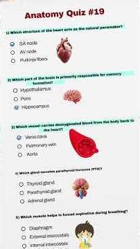 HOT Anatomy Quiz #19 🔥🧠 | 6 Tricky Human Body Questions | Only Smart Minds Score 6/6! #shorts