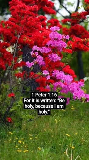 CHOSEN FOR HOLINESS !! #bibleverse #holiness #holy #god #jesus #bible