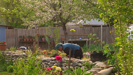 Embrace the Country Life: A Guide to Peaceful Living