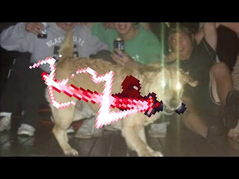 TRUE MELEE CALAMITY INFERNUM.EXE