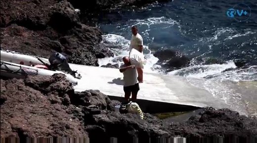 1.9K views · 65 reactions | O Instituto Português do Mar e da...