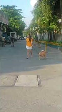 Akaso V50 X Unboxing & Motorcycle Test Ride! Handlebar POV Ride Footage! #ActionCamTest #EpicRide