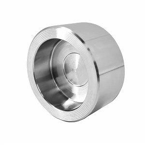 [Hot Item] High Quality Pipe Fitting ANSI Cap Stainless Steel Cast Iron with Threaded Flange Round Cap
