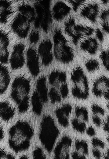 Raphael Luce: Stunning Talent in Stranger Things