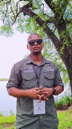 Exploring Botswana Tourism with Maun Water Front