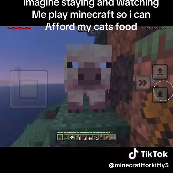 Every follow will really help💞 #minecraft #cat #help #fyp #viral