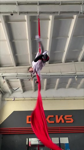 Aerial Acrobatics Performance on Red Fabric