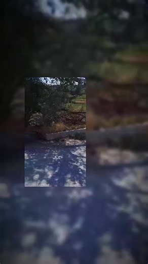 Exploring the Loncin ATV 200 & Pit Bike Loncin 125