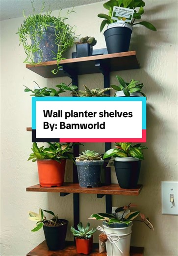 Love the Bamworld planter shelves! I chose to stack mines you can put them side by side! 2026 is starting off right! #plants #shelves #space #homedecor #satisfying
