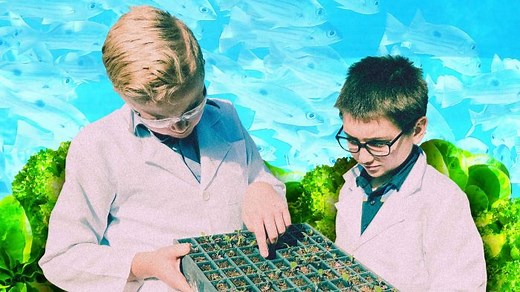 Aquaponics School