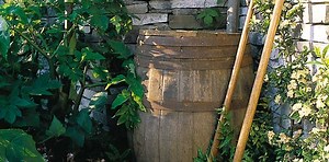 How To Collect Water With Rain Barrels