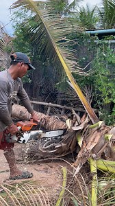 113K views · 174 reactions | Rural Palm Tree Cutting Machine Techniques | Creative Handmades Ideas Diy | Facebook