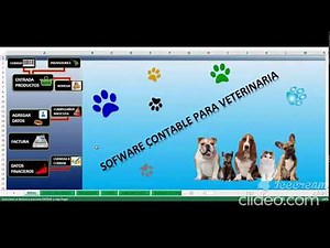 SISTEMA CONTABLE VETERINARIA EN EXCEL