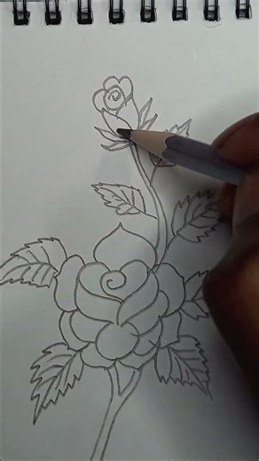 Easy flower drawing Pencil drawing #pencildrawing #art