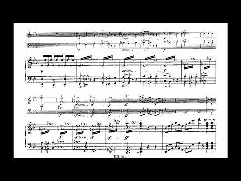 Franz Schubert - Piano trio in E flat major No.2, op.100 (w/ score)