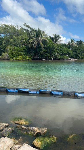 44K views · 191 reactions | STOP DESTROYING IUR ECOSYSTEMS!! Please...