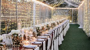 Will you buy wedding insurance going forward?