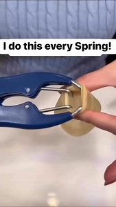 55K views · 195 reactions | I do this every Spring! #tipsandtricks #crafts #homedecor #DIY | Home Hacks & Easy Snacks | Facebook