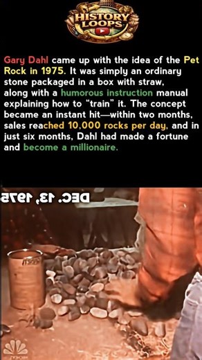 The Man who Became a Millionaire selling Rocks