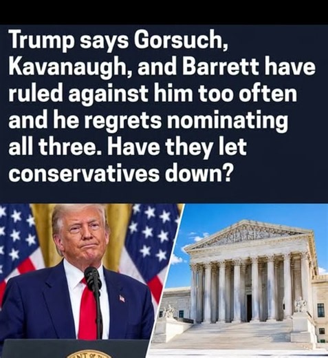 Trump Says He Regrets Supreme Court Picks Gorsuch, Kavanaugh, and Barrett Over Rulings Against Him